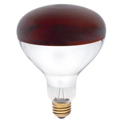 250 Watt Incandescent Heat Lamp Bulbs