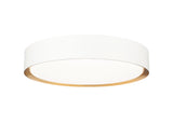 Kawan 16" Modern LED Flush Mount Ceiling Fixture