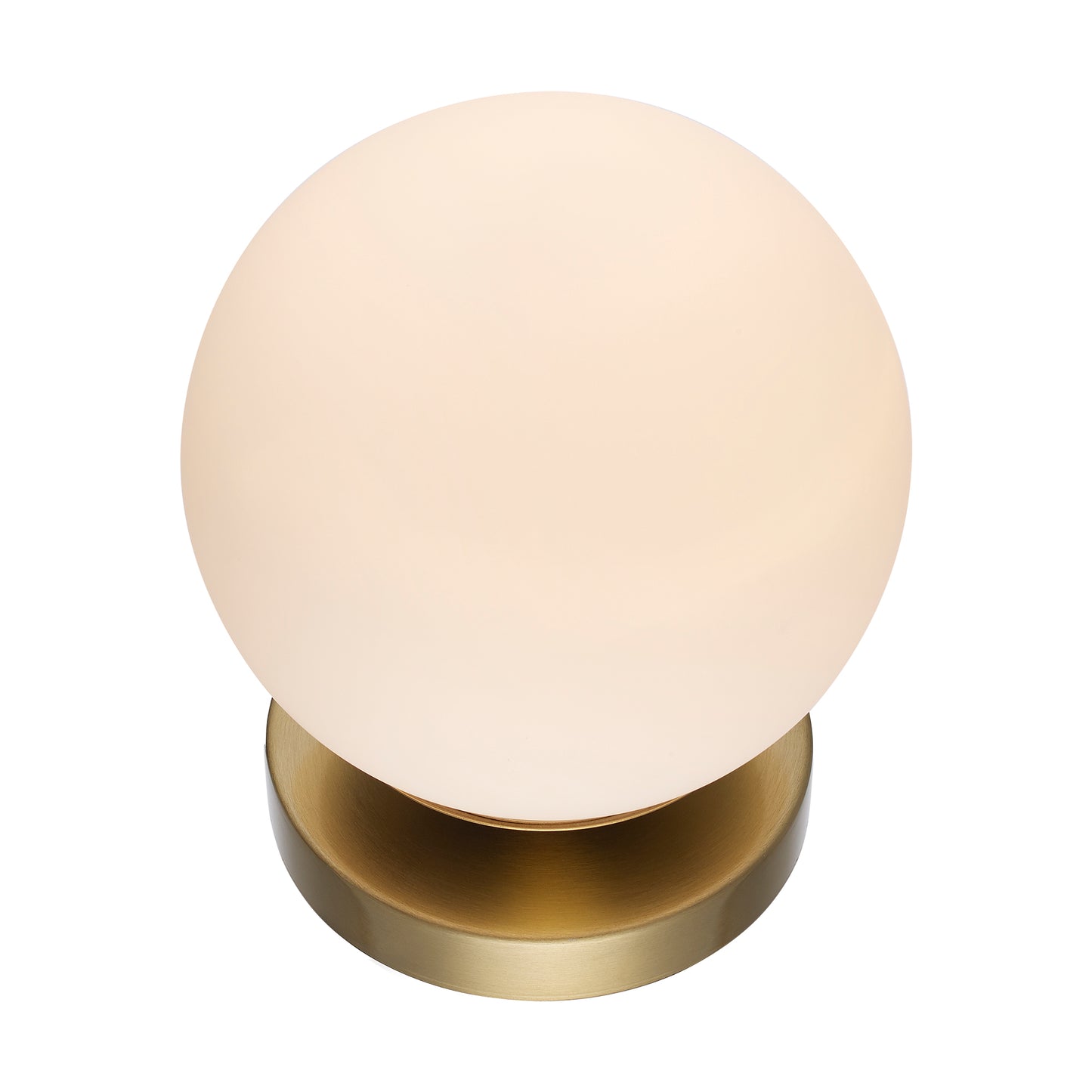 Terra Globe Surface Mount Fixture