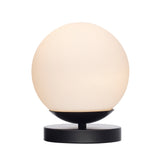 Terra Globe Surface Mount Fixture