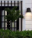 Asher Exterior LED Downlight Outdoor Cone Wall Sconce