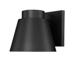 Asher Exterior LED Downlight Outdoor Cone Wall Sconce