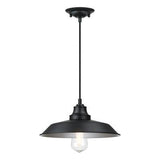 Iron Hill Farmhouse Industrial China Hat Metal Shade Pendant Light in Black 