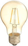 LED A19 Edison Bulb