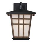 Rollins Rustic Outdoor Craftsman Exterior Wall Lantern