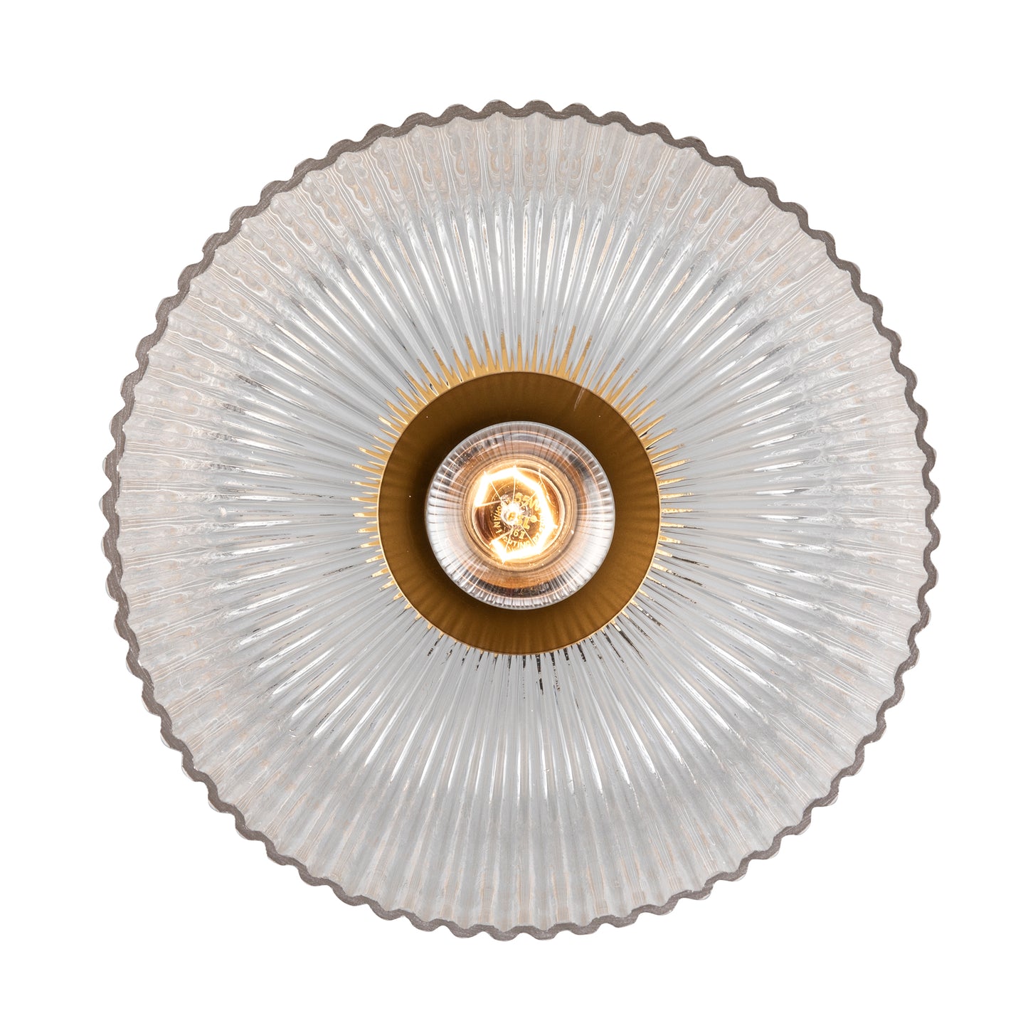 Meadow 12" Ribbed Clear Glass Dome 1-Light Pendant Fixture in Modern Brass