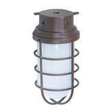 Exterior 11" Industrial Vapor Light Outdoor Wall Sconce Fixture