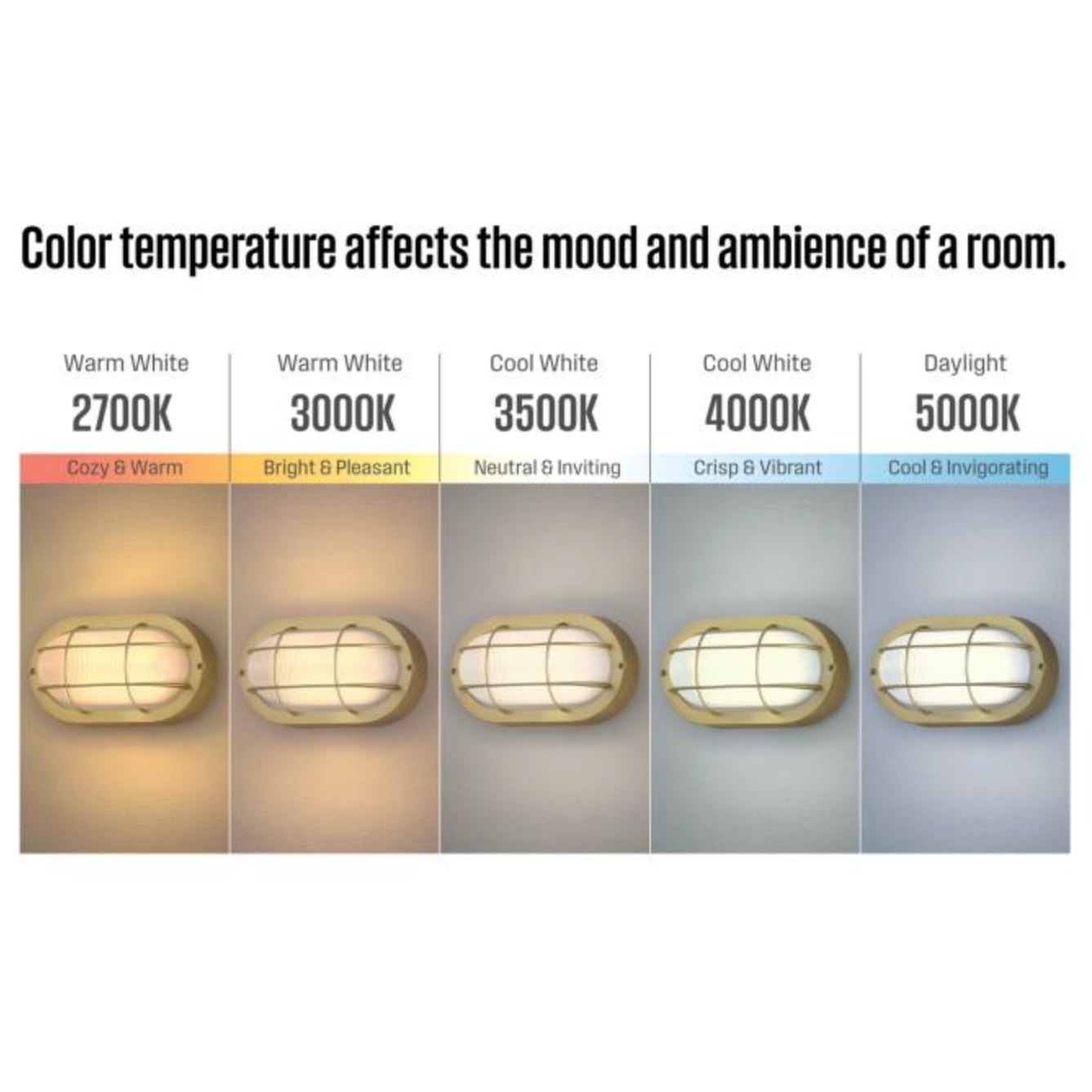 Dimmable LED Modern Oval Outdoor Wall Lantern - Exterior Bulkhead Fixture