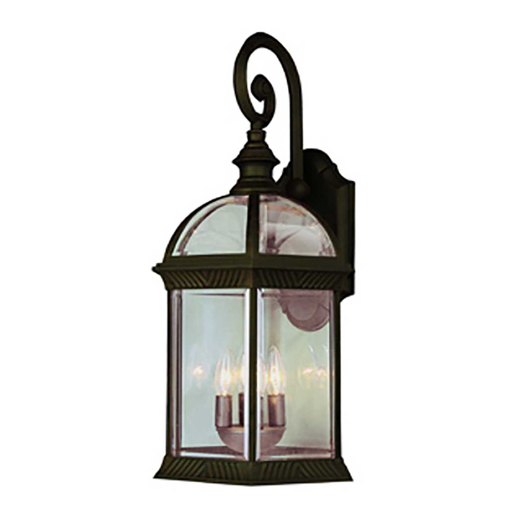 Botanica I Large Outdoor Carriage Lantern Wall Sconce Light