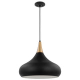 Phoenix Retro Large Dome Saucer Pendant - Matte Black + Burnished Brass