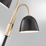 Stark Black & Brass Modern Adjustable Gooseneck 3 Light Floor Lamp by Lite Source