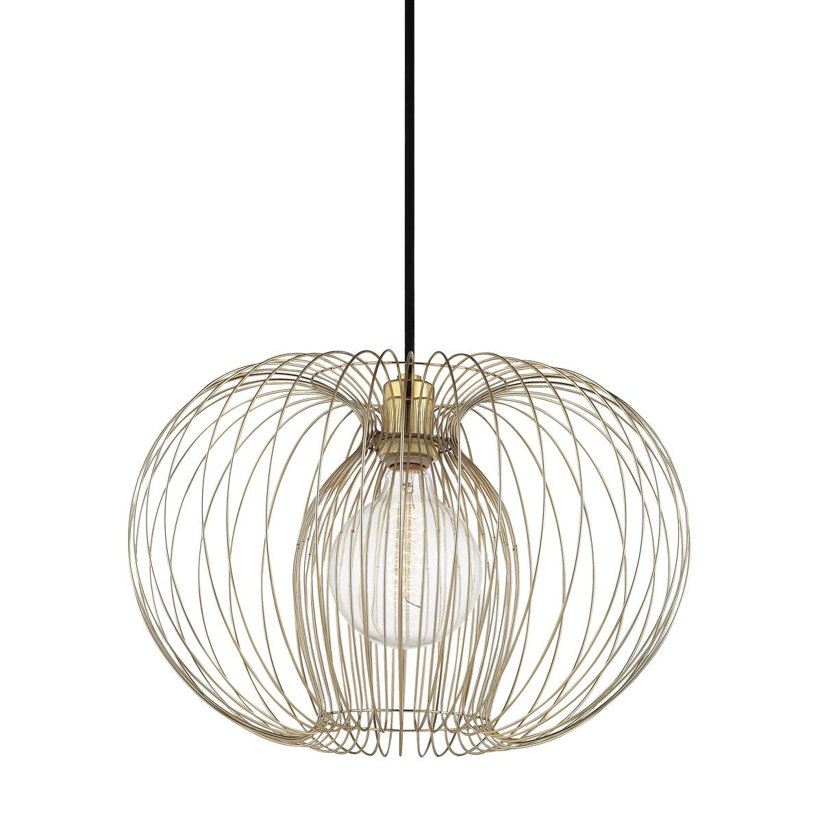 Mitzi by Hudson Valley - Jasmine Modern Oval Cage Pendant H18170L-PB  H18170S-PB 